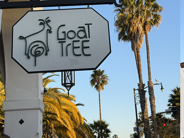 Sign for "Goat Tree" hangs from a building with palm trees and a clear sky in the background.
